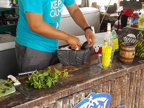 Cozumel Beach Shore Excursion Reservations