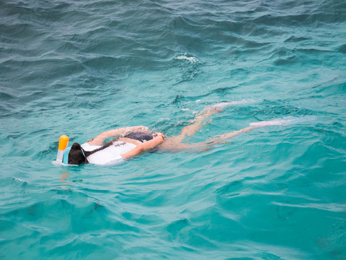 Cozumel All Inclusive  Catamaran Tour Booking