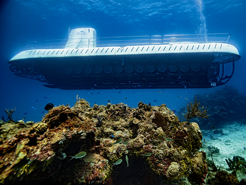 Cozumel Atlantis Submarine Shore Excursion Reviews