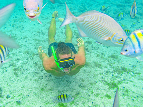 Cozumel playa uvas Shore Excursion Tickets