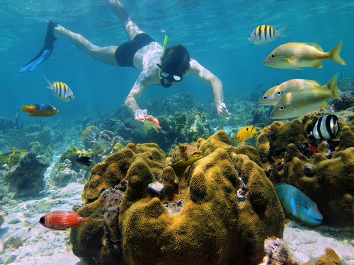 Cozumel Beach Break Catamaran Shore Excursion Reviews