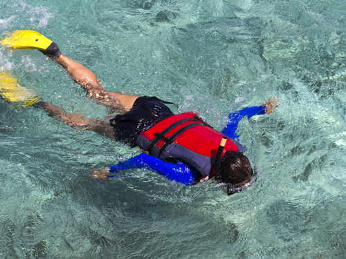Cozumel beginners scuba Tour Reviews