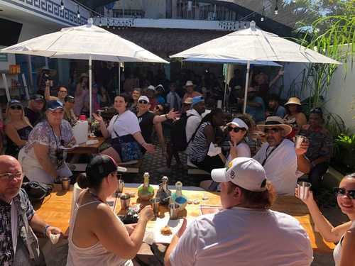 Cozumel Mexico Food Tasting Walking Excursion Booking