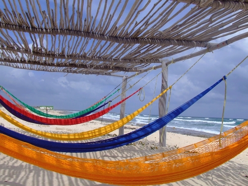 Cozumel Snorkeling Trip Reviews