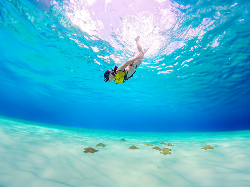 Cozumel Catamaran Marine Park Snorkel, Cielo Sandbar, and Playa Mia Beach Park Excursion