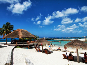 Cozumel Chankanaab Beach Park Snorkel and All Inclusive Day Pass Excursion