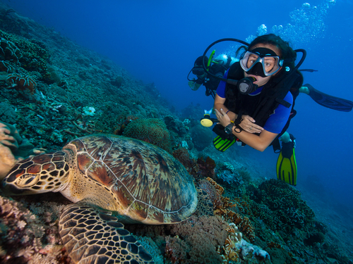 Cozumel close to piers Trip Tickets