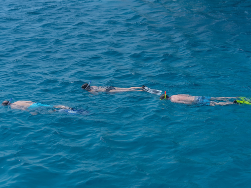 Cozumel Cozumel Island Cruise Excursion Reviews