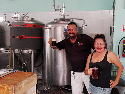 Cozumel Mexico Craft Beer Walking Shore Excursion Prices