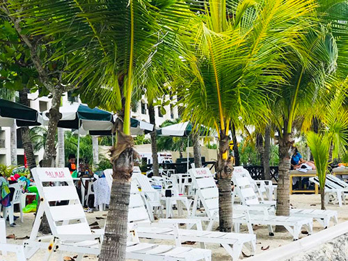 Cozumel Custom Private Jeep Sightseeing, Snorkel, and Beach Club Excursion with Lunch