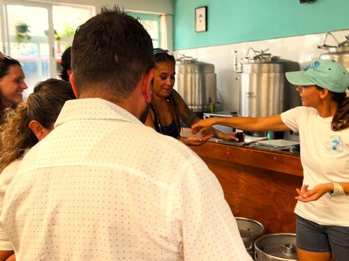 Cozumel Downtown and Brewery Excursion 