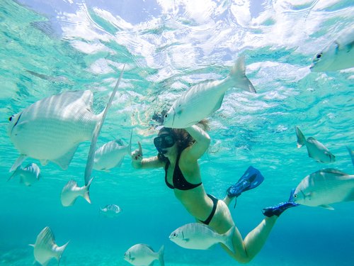 Cozumel snorkel Day Pass Tour Reviews