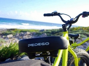 Cozumel Electric Bike Ride and Sky Reef Snorkel Excursion