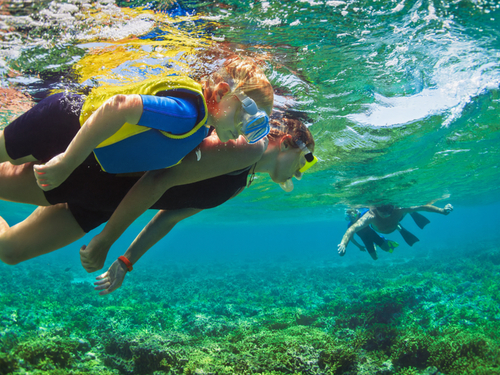 Cozumel Facilities Trip Reviews