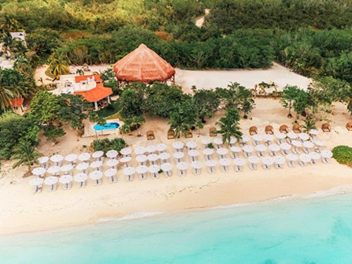 Cozumel Isla Mia Roots Beach Vibes with Optional Round-Trip Transportation