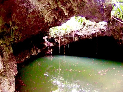 Cozumel Jungle Jeep, Jade Cavern, Cenote Swim and Snorkel Adventure  Excursion - Cozumel Excursions