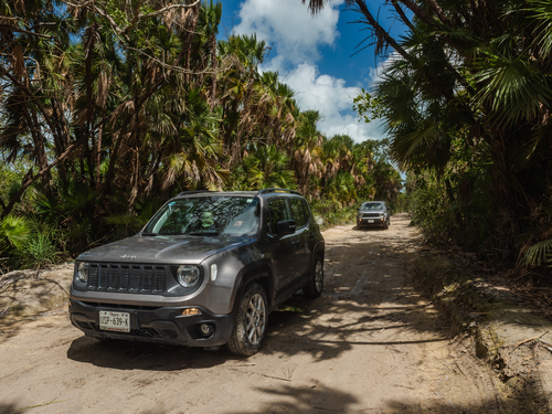 Cozumel Jeep Off-Road Adventure and All-Inclusive Passion Island Excursion 