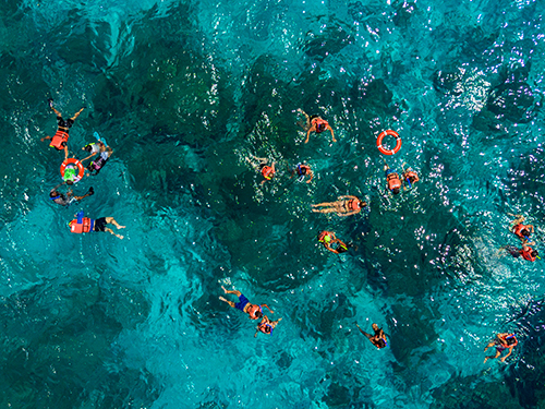 Cozumel Kuza Park Day Pass & El Cielo Snorkeling Excursion
