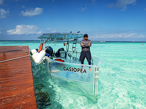 Cozumel Kuza Park Day Pass & El Cielo Snorkeling Excursion