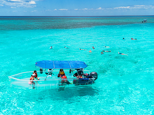 Cozumel Kuza Park Day Pass & El Cielo Snorkeling Excursion