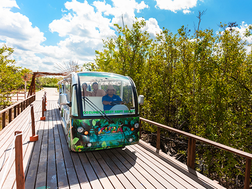 Cozumel Kuza Park Day Pass & El Cielo Snorkeling Excursion