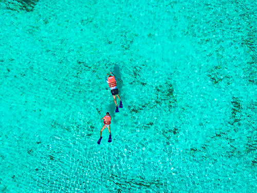 Cozumel Kuza Park Day Pass & El Cielo Snorkeling Excursion