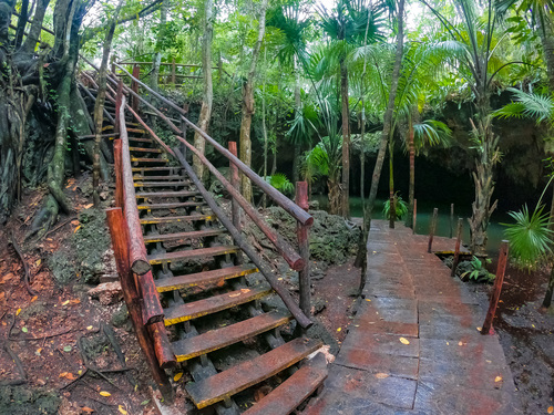 Cozumel  Mexico Buggy Ride Trip Reservations