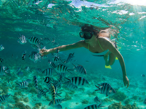 Cozumel Mexico Caribbean Sea Tour Prices