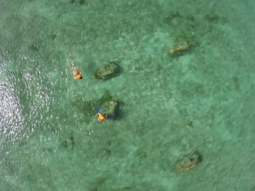 Cozumel Mexico  Cruise Excursion Prices