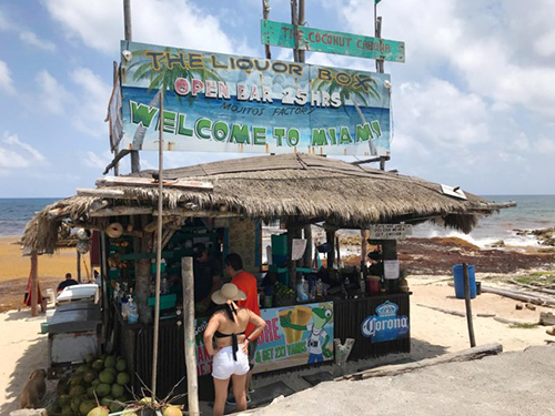 Cozumel East Side Excursion Cost