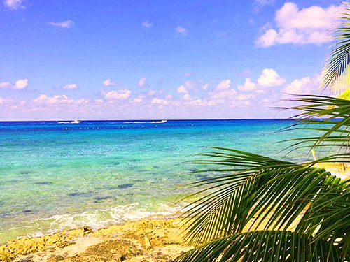 Cozumel  Mexico  Jeep Excursion Cost