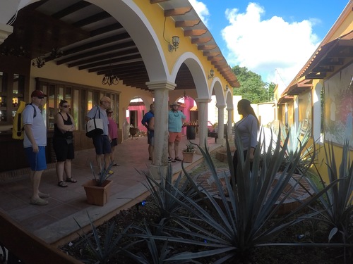 Cozumel  Mexico Jungle Cruise Excursion Cost