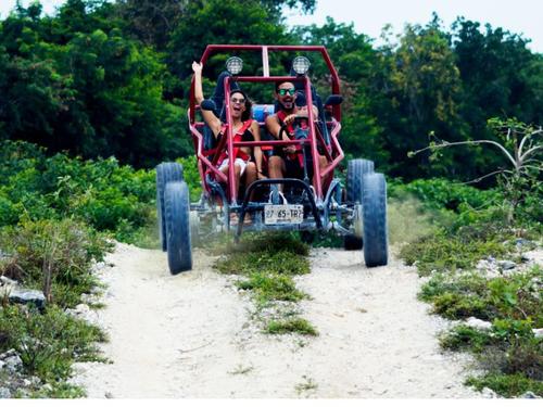 buggy excursion