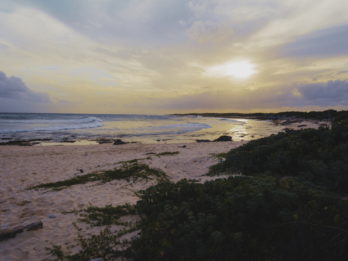 Cozumel  Mexico San Gervacio jeep Tour Cost
