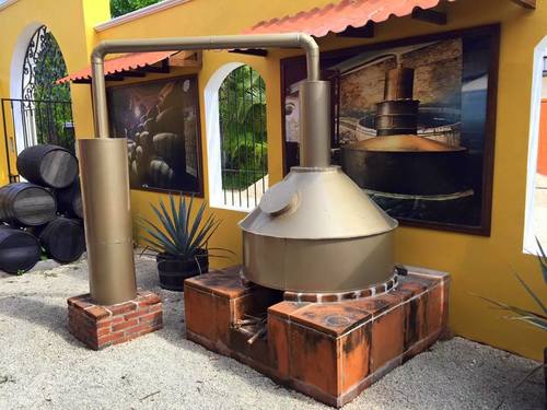Cozumel Mexico Cedral Segway Excursion Prices