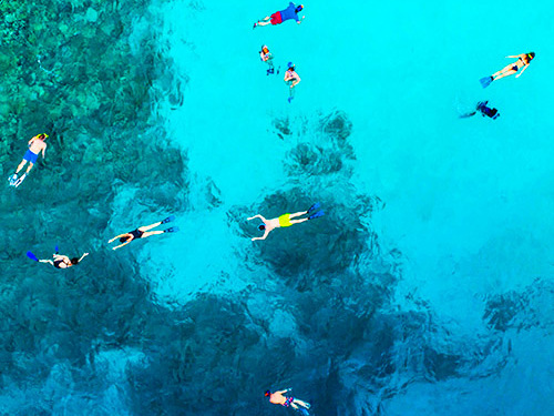 Cozumel  Mexico Swimming Jeep Trip Tickets