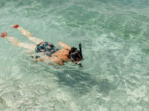 Cozumel  Mexico Tortugas Beach Club Cruise Excursion Booking