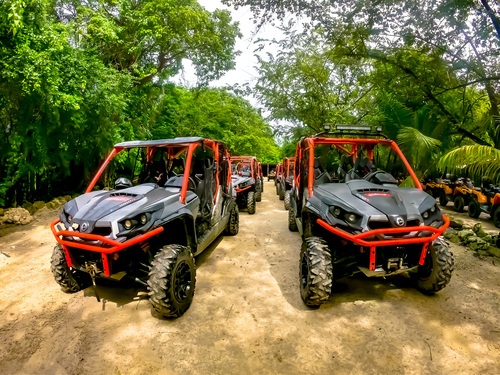 buggy excursion