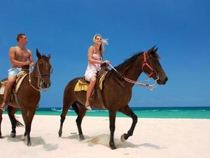 Cozumel Mr. Sanchos Beach Horseback Riding Excursion
