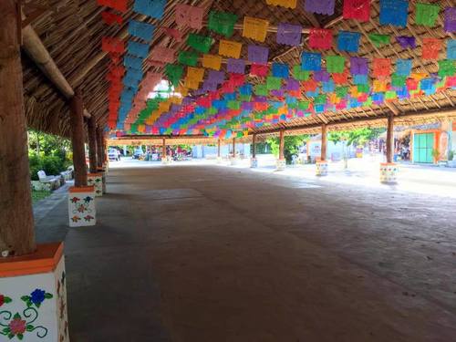 Cozumel Mexico Family Segway Trip Cost
