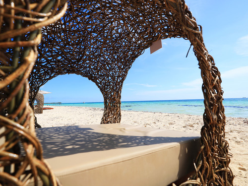 Cozumel Playa Palancar All Inclusive Beach Day Pass Excursion