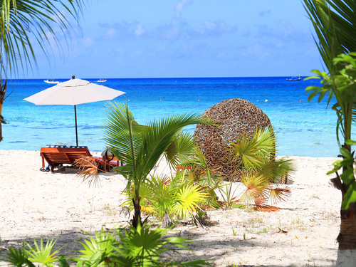 Cozumel Playa Palancar All Inclusive Beach Day Pass Excursion