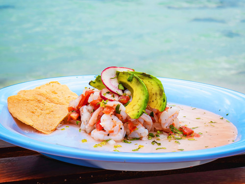 Cozumel Playa Palancar VIP All Inclusive Beach Day Pass Excursion