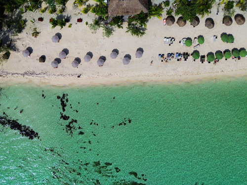 Cozumel Playa Palancar VIP All Inclusive Beach Day Pass Excursion