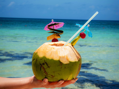 Cozumel Playa Palancar VIP All Inclusive Beach Day Pass Excursion