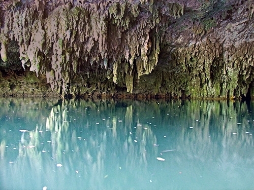 Cozumel Jungle ATV, Jade Cavern and Cenote Swim Excursion - Cozumel  Excursions