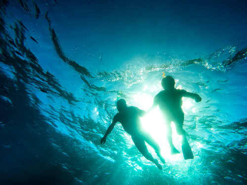 Cozumel Port marine life Shore Excursion Reservations