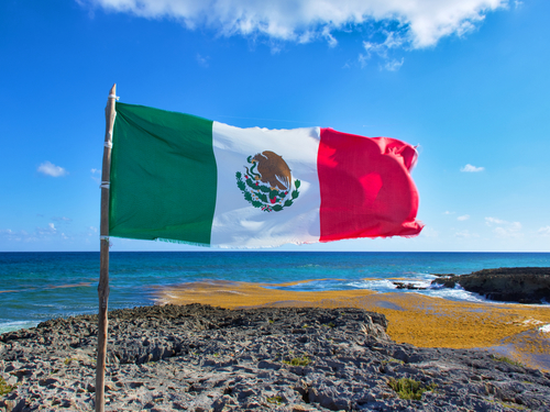 Cozumel private driver Tour Tickets