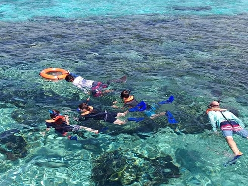 Cozumel Private Economy Marine Park Reef Snorkel and El Cielo Sandbar  Charter - Cozumel Excursions