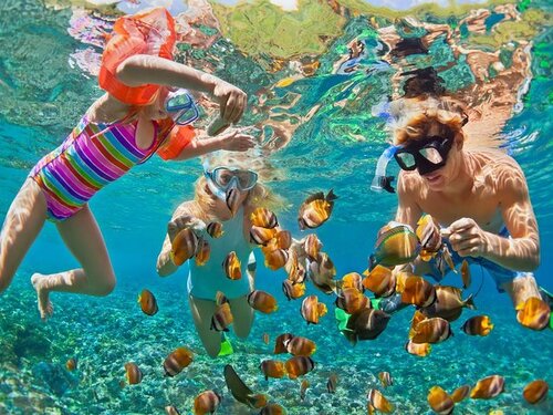 Cozumel Private Economy Marine Park Reef Snorkel and El Cielo Sandbar  Charter - Cozumel Excursions
